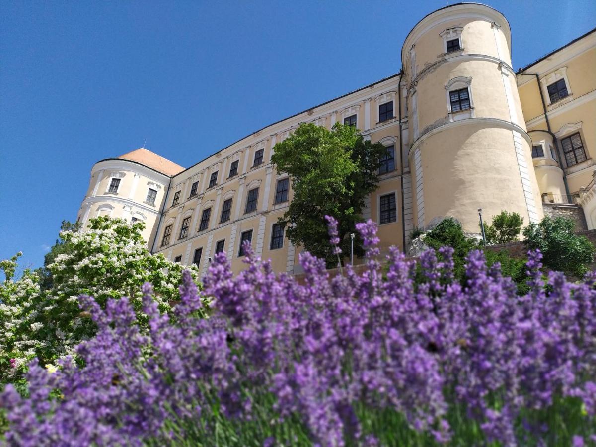 Apartmán Jan Břeclav Esterno foto