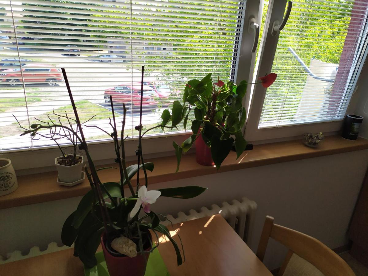 Apartmán Jan Břeclav Esterno foto
